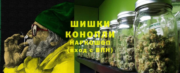 PSILOCYBIN Алексин