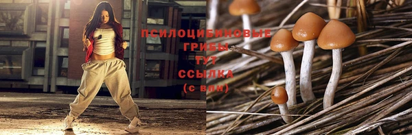 винт Армянск