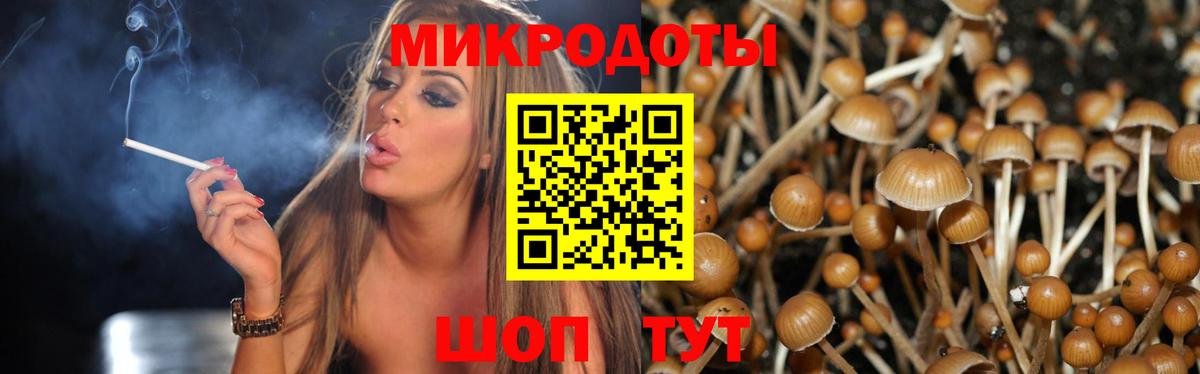Владивосток  Псилоцибиновые грибы ЛСД  Вход с VPN 